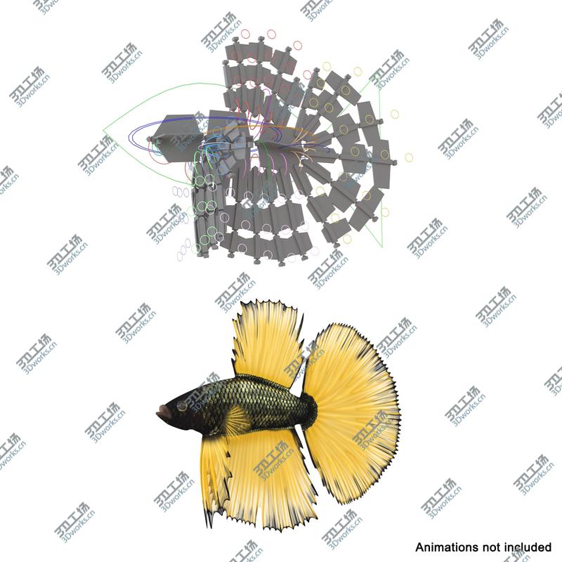 images/goods_img/202104092/Coral Fishs Collection 2 Rigged/3.jpg